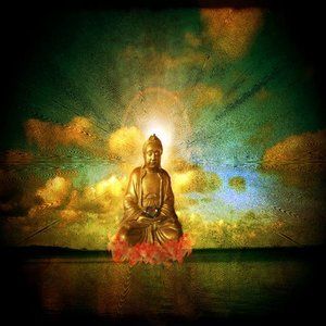 Meet your Posher, Traci